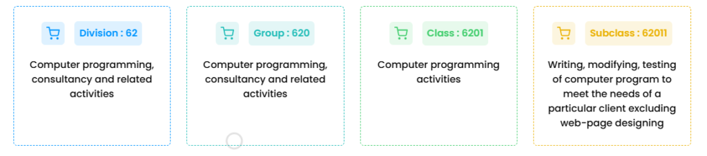 NIC Code 62011 for Indian SaaS and Software Startups